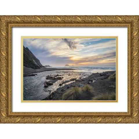 Humbug Mtn. State Park I Gold Ornate Wood Framed Art Print with Double Matting by Hellmann, Stan
