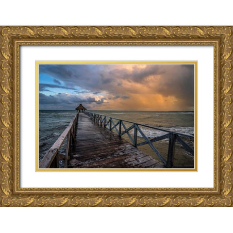 Approaching Squall Gold Ornate Wood Framed Art Print with Double Matting by Hellmann, Stan