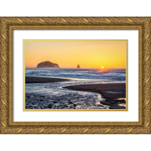 Humbug Mtn. State Park III Gold Ornate Wood Framed Art Print with Double Matting by Hellmann, Stan