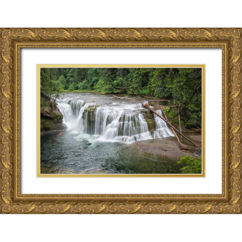 Lower Lewis River Falls Gold Ornate Wood Framed Art Print with Double Matting by Hellmann, Stan