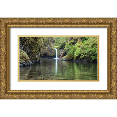 Punchbowl Falls Gold Ornate Wood Framed Art Print with Double Matting by Hellmann, Stan