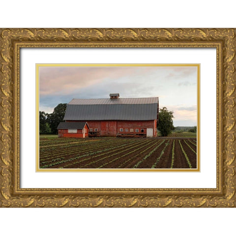Mt. Angel Barn Gold Ornate Wood Framed Art Print with Double Matting by Hellmann, Stan