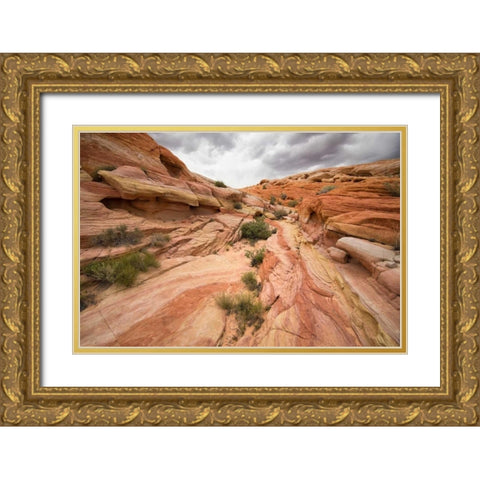 Valley of Fire I Gold Ornate Wood Framed Art Print with Double Matting by Hellmann, Stan