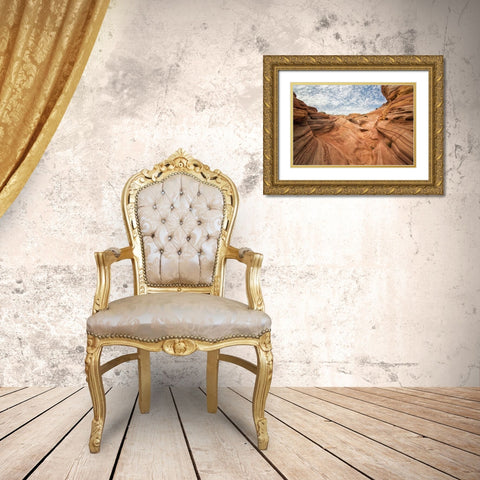 Valley of Fire III Gold Ornate Wood Framed Art Print with Double Matting by Hellmann, Stan