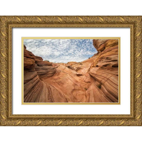 Valley of Fire III Gold Ornate Wood Framed Art Print with Double Matting by Hellmann, Stan