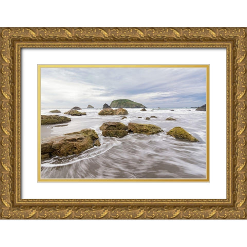 Harris Beach I Gold Ornate Wood Framed Art Print with Double Matting by Hellmann, Stan