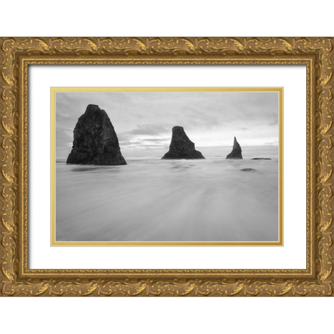 Bandon BW Gold Ornate Wood Framed Art Print with Double Matting by Hellmann, Stan