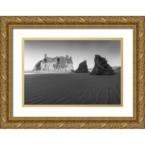 Ruby Beach Morning II BW Gold Ornate Wood Framed Art Print with Double Matting by Hellmann, Stan