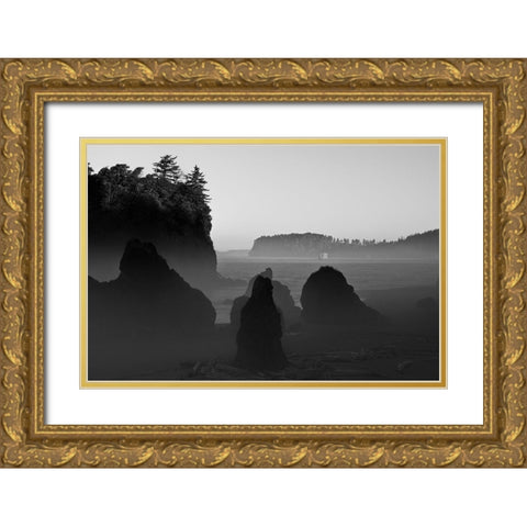 Ruby Beach Morning III BW Gold Ornate Wood Framed Art Print with Double Matting by Hellmann, Stan