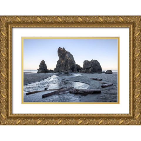 Ruby Beach Morning I Gold Ornate Wood Framed Art Print with Double Matting by Hellmann, Stan