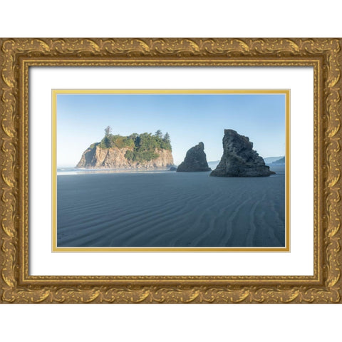 Ruby Beach Morning II Gold Ornate Wood Framed Art Print with Double Matting by Hellmann, Stan