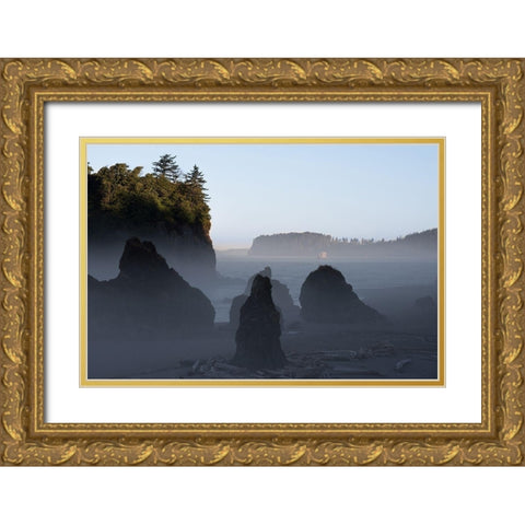 Ruby Beach Morning III Gold Ornate Wood Framed Art Print with Double Matting by Hellmann, Stan