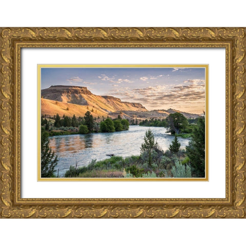 Mutton Mountains Gold Ornate Wood Framed Art Print with Double Matting by Hellmann, Stan