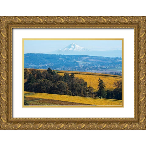 Dundee Hills I Gold Ornate Wood Framed Art Print with Double Matting by Hellmann, Stan
