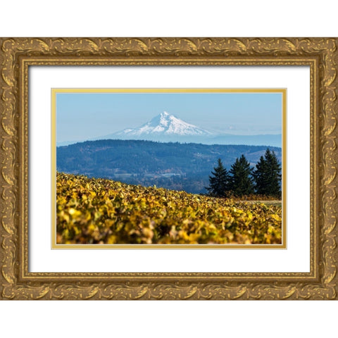 Dundee Hills II Gold Ornate Wood Framed Art Print with Double Matting by Hellmann, Stan