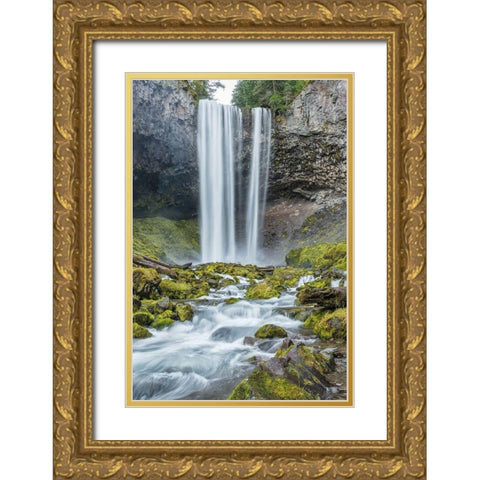 Tamanawas Falls II Gold Ornate Wood Framed Art Print with Double Matting by Hellmann, Stan