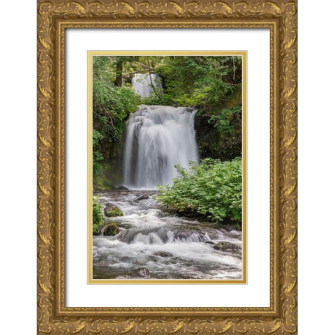 Twin Falls Gold Ornate Wood Framed Art Print with Double Matting by Hellmann, Stan