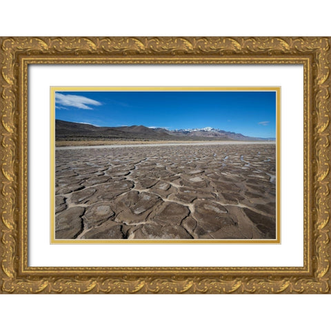 Malheur I Gold Ornate Wood Framed Art Print with Double Matting by Hellmann, Stan