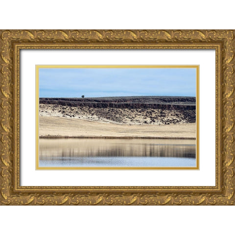 Malheur II Gold Ornate Wood Framed Art Print with Double Matting by Hellmann, Stan