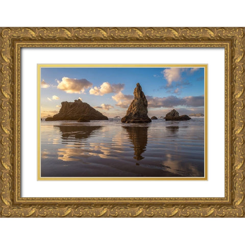 Bandon III Gold Ornate Wood Framed Art Print with Double Matting by Hellmann, Stan