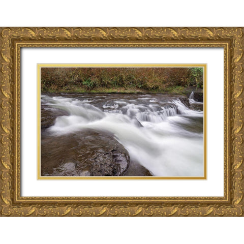 Laverne Park Falls Gold Ornate Wood Framed Art Print with Double Matting by Hellmann, Stan
