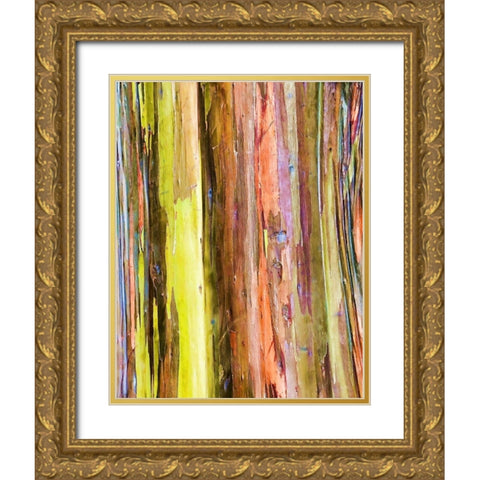 Eucalyptus Bark I Gold Ornate Wood Framed Art Print with Double Matting by Hellmann, Stan
