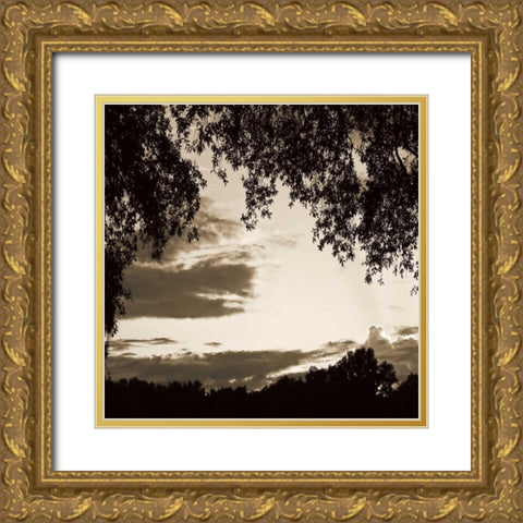 Sunset Trees Sepia Sq II Gold Ornate Wood Framed Art Print with Double Matting by Hausenflock, Alan