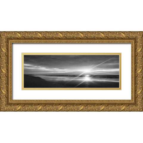 Beauteous Light Panel BW II Gold Ornate Wood Framed Art Print with Double Matting by Hausenflock, Alan