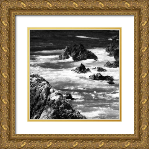 Garrapata 6 BW Square Gold Ornate Wood Framed Art Print with Double Matting by Hausenflock, Alan