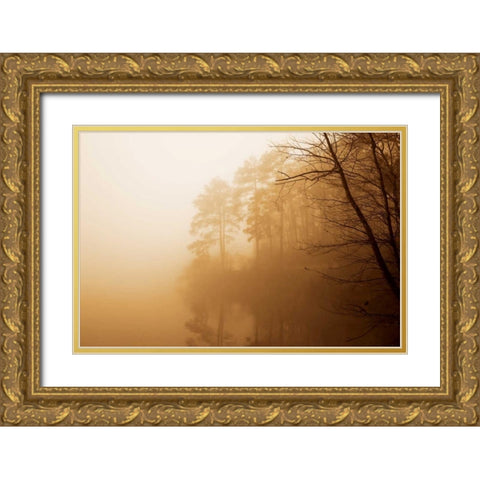 Fog on Shelly Lake I Gold Ornate Wood Framed Art Print with Double Matting by Hausenflock, Alan