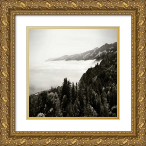 Pacific Fog Sq II Gold Ornate Wood Framed Art Print with Double Matting by Hausenflock, Alan