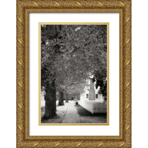 Small Town Autumn III Gold Ornate Wood Framed Art Print with Double Matting by Hausenflock, Alan