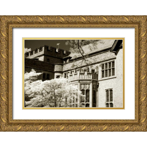 Tudor Mansion II Gold Ornate Wood Framed Art Print with Double Matting by Hausenflock, Alan