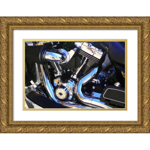 Black Beauty I Gold Ornate Wood Framed Art Print with Double Matting by Hausenflock, Alan