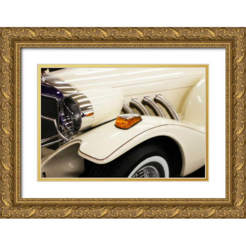 Duesy I Gold Ornate Wood Framed Art Print with Double Matting by Hausenflock, Alan