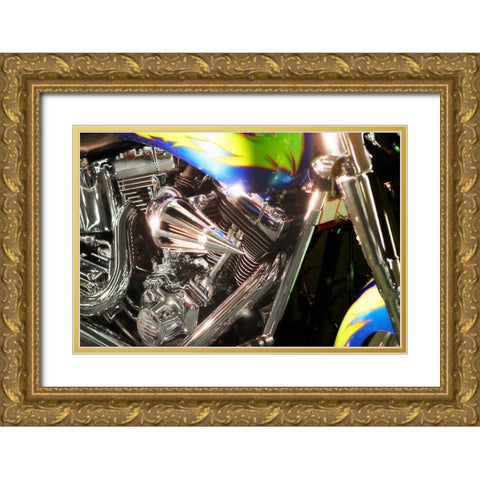 Wild Ride I Gold Ornate Wood Framed Art Print with Double Matting by Hausenflock, Alan