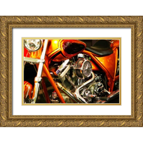 Wild Ride II Gold Ornate Wood Framed Art Print with Double Matting by Hausenflock, Alan