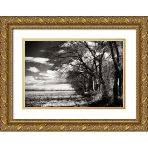 Winter Fields II Gold Ornate Wood Framed Art Print with Double Matting by Hausenflock, Alan