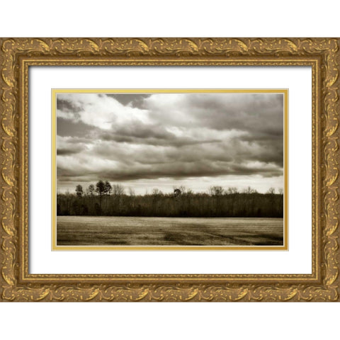 Winter Fields III Gold Ornate Wood Framed Art Print with Double Matting by Hausenflock, Alan