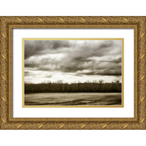Winter Fields IV Gold Ornate Wood Framed Art Print with Double Matting by Hausenflock, Alan