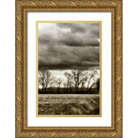 Winter Fields V Gold Ornate Wood Framed Art Print with Double Matting by Hausenflock, Alan
