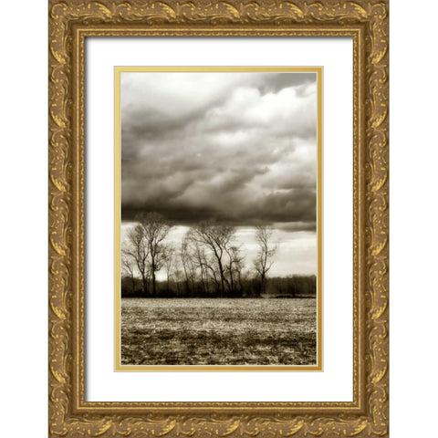 Winter Fields VI Gold Ornate Wood Framed Art Print with Double Matting by Hausenflock, Alan