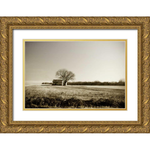 Ashland Farm II Gold Ornate Wood Framed Art Print with Double Matting by Hausenflock, Alan