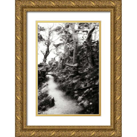 North Point Pathway I Gold Ornate Wood Framed Art Print with Double Matting by Hausenflock, Alan