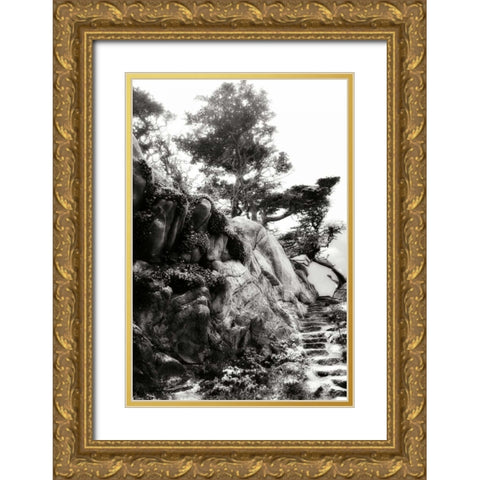 North Point Pathway II Gold Ornate Wood Framed Art Print with Double Matting by Hausenflock, Alan