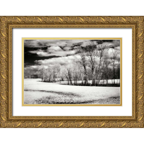 Hanover Winter I Gold Ornate Wood Framed Art Print with Double Matting by Hausenflock, Alan