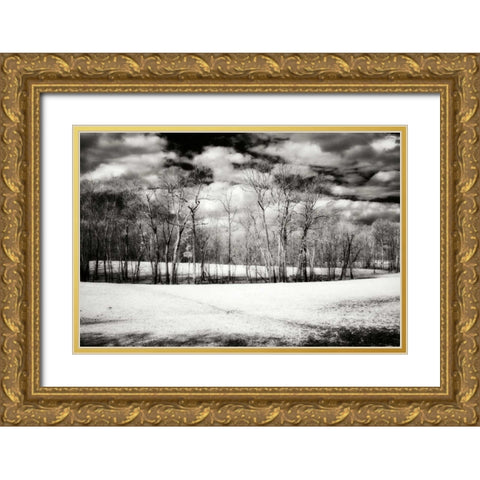Hanover Winter II Gold Ornate Wood Framed Art Print with Double Matting by Hausenflock, Alan