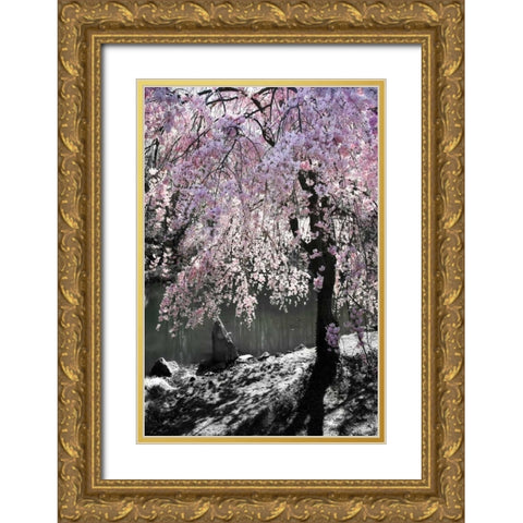 Cherry Tree I Gold Ornate Wood Framed Art Print with Double Matting by Hausenflock, Alan