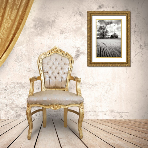 Stormy Skies II Gold Ornate Wood Framed Art Print with Double Matting by Hausenflock, Alan