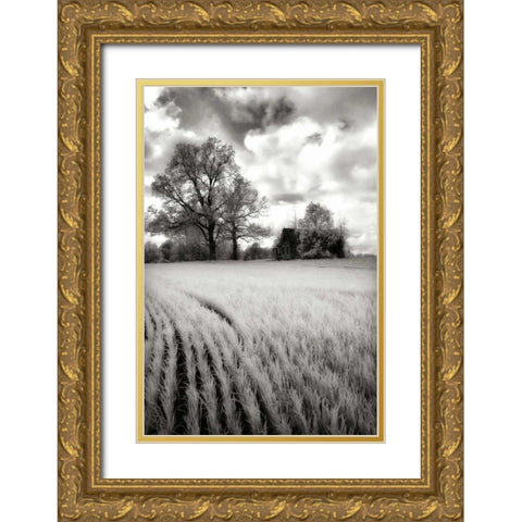 Stormy Skies II Gold Ornate Wood Framed Art Print with Double Matting by Hausenflock, Alan